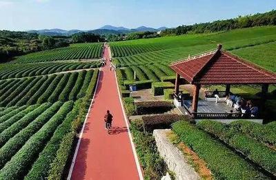 一市三省推薦！宜興上榜！休閑觀光活動引領文旅新風尚