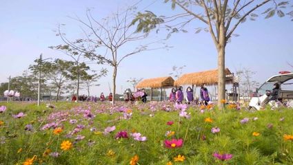 百花爭春！2023廣東省森林文化周春季活動正式啟動