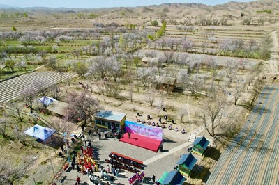 農文旅融合發展 陳戶鎮推動鄉村旅游大提升