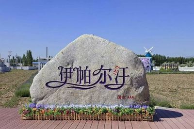 走進(jìn)中國(guó)著名工廠 探索伊利與片仔癀的工業(yè)魅力與休閑觀光